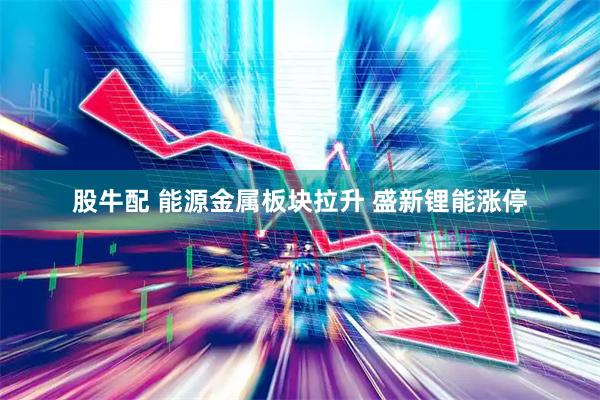 股牛配 能源金属板块拉升 盛新锂能涨停