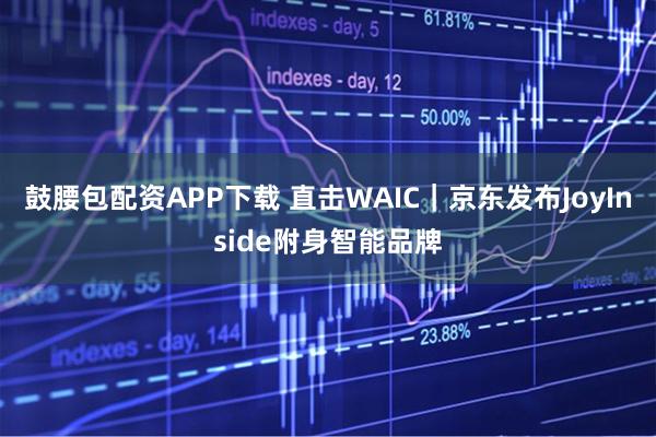 鼓腰包配资APP下载 直击WAIC|京东发布JoyInside附身智能品牌