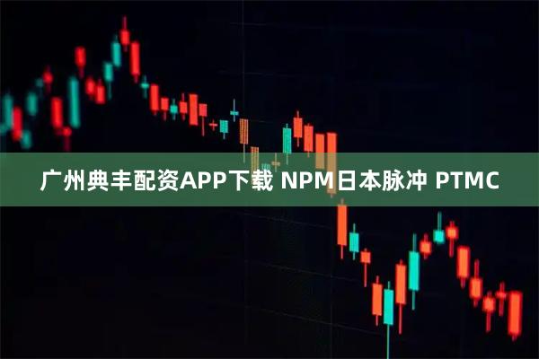广州典丰配资APP下载 NPM日本脉冲 PTMC