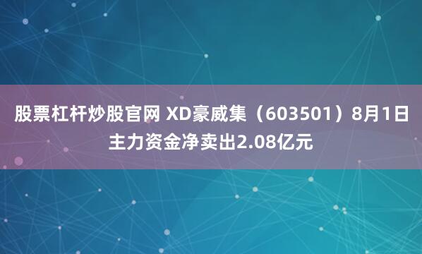 股票杠杆炒股官网 XD豪威集（603501）8月1日主力资金净卖出2.08亿元