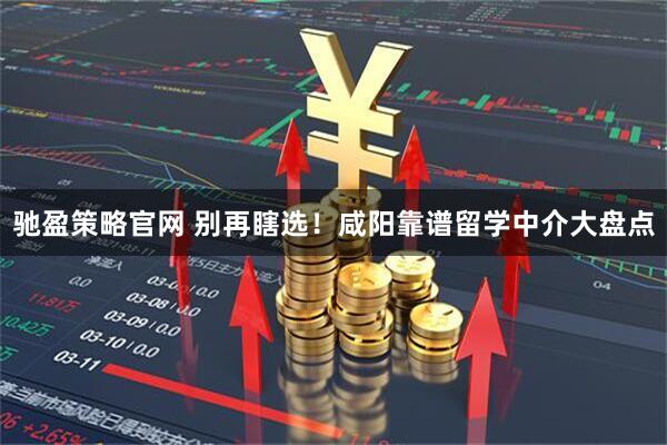 驰盈策略官网 别再瞎选!咸阳靠谱留学中介大盘点
